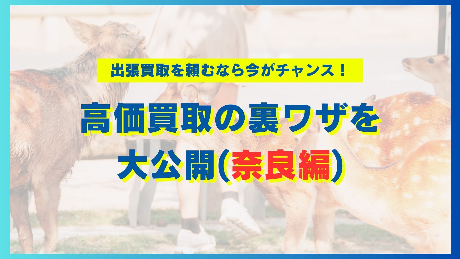 奈良で出張買取を頼むなら今がチャンス！高価買取の裏ワザを大公開